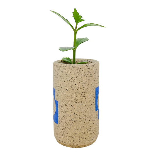 Mini Recipiente - Escultura Buddy - Blanco