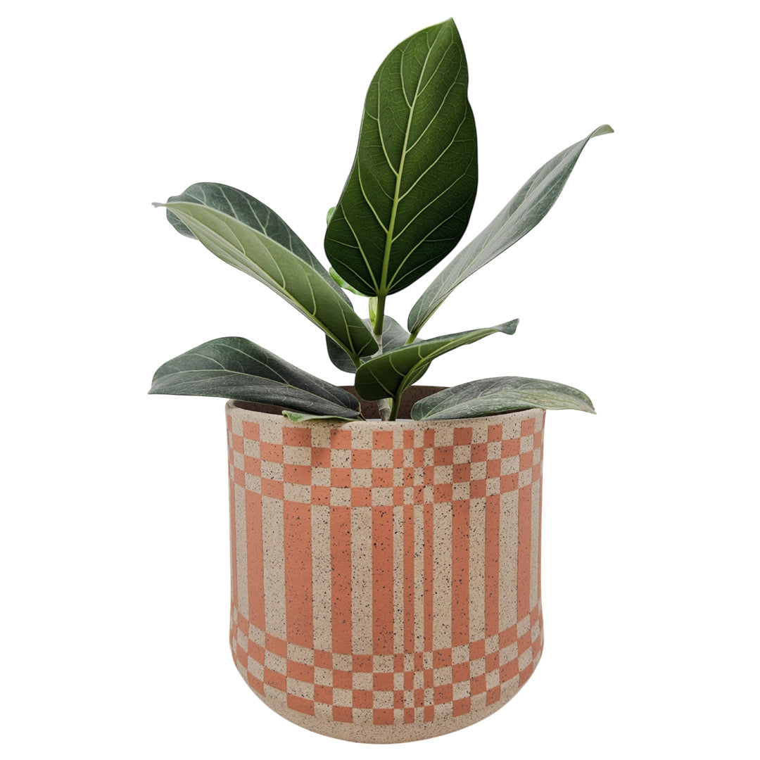 Vasija con patas grandes - Cara de abrazo